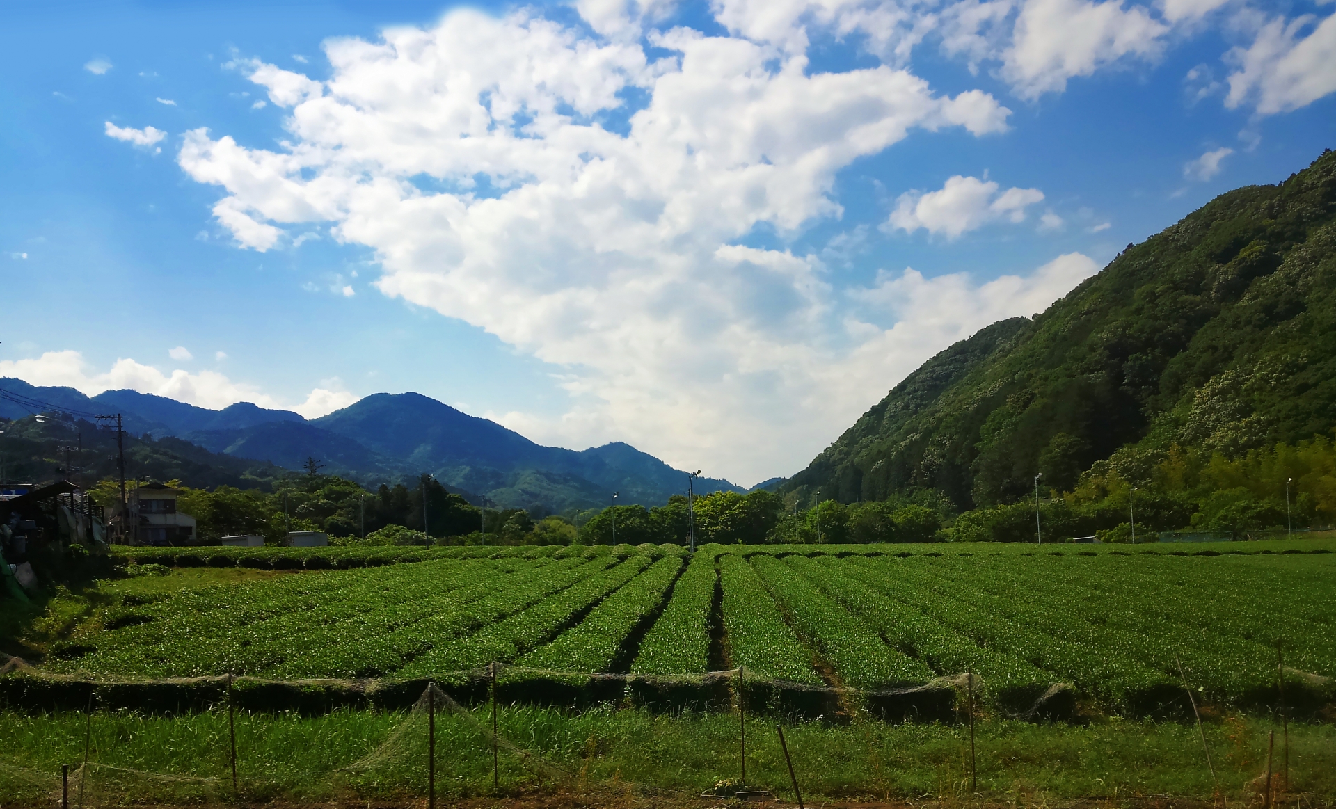 清川村の風景